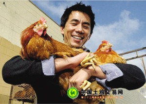 美名校华人高才生饲养日本土鸡打入高档餐厅